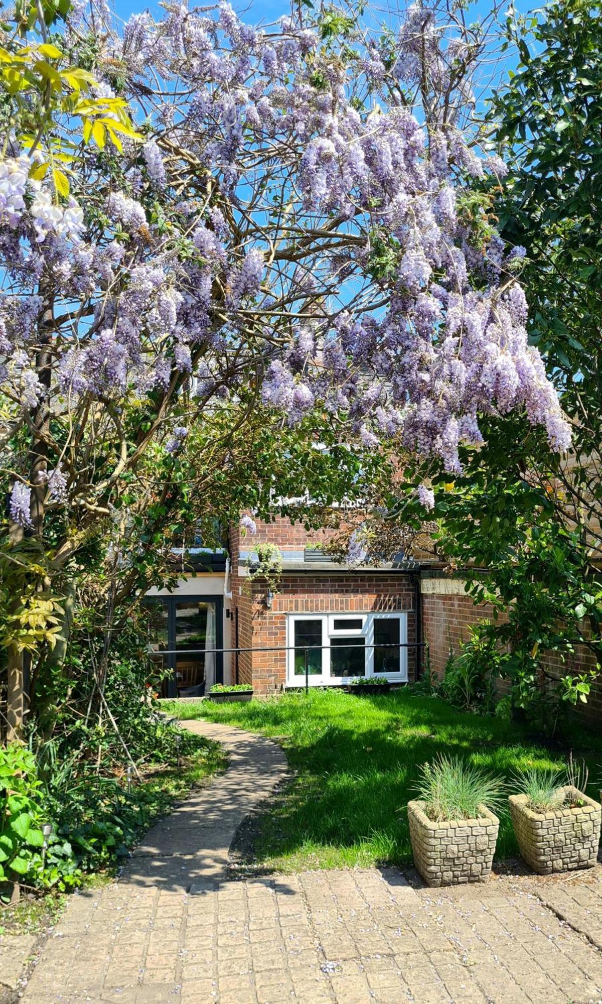 The Hideaway - Luxury Townhouse Villa Wareham Exteriör bild